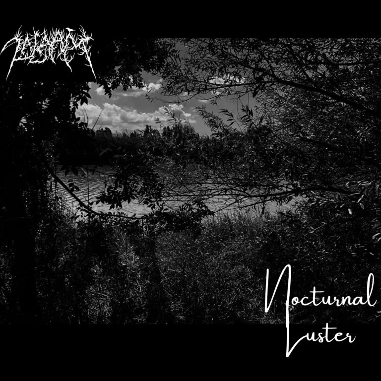 Zalaam – Nocturnal Luster